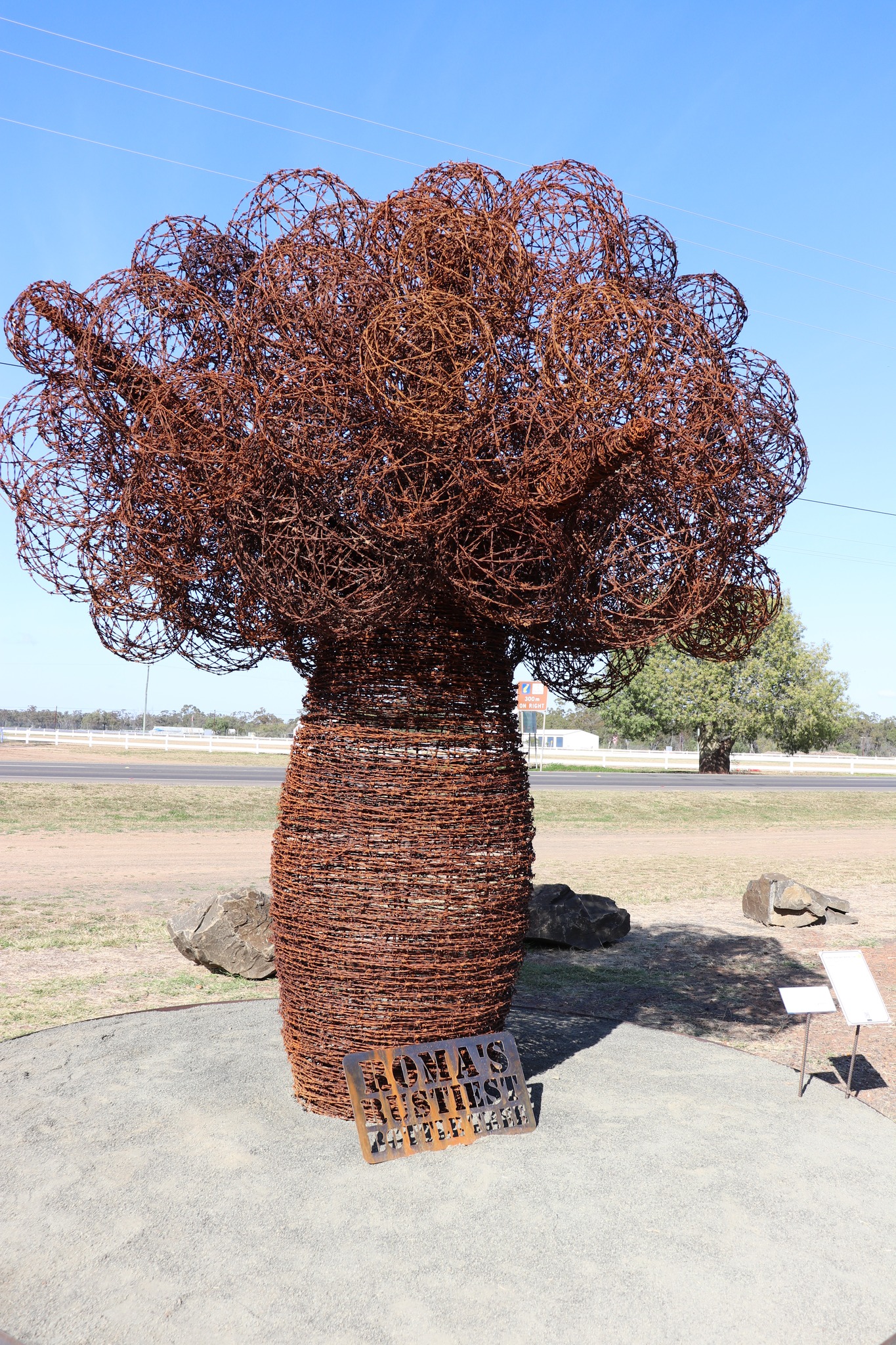 Roma’s Rustiest Bottle Tree by Daniel Ferry