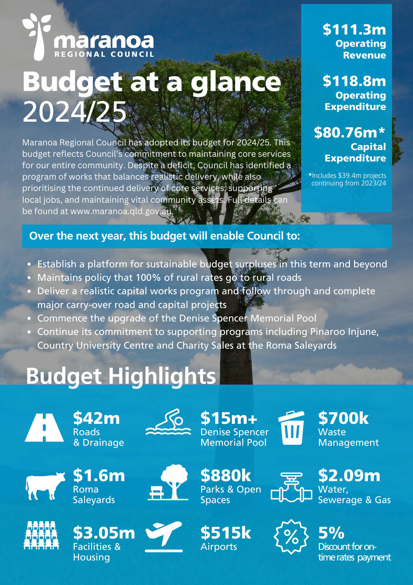 Council Budget 2024/25 Summary.
