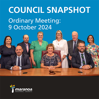 Council snapshot 2