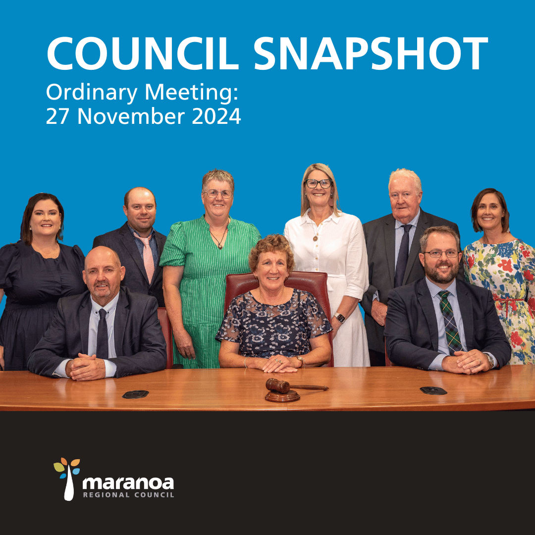 Council Snapshot