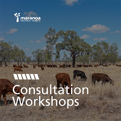 Consultation Workshops - Stock Route Management Plan