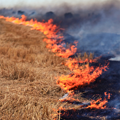 Hazard Reduction Burns Injune