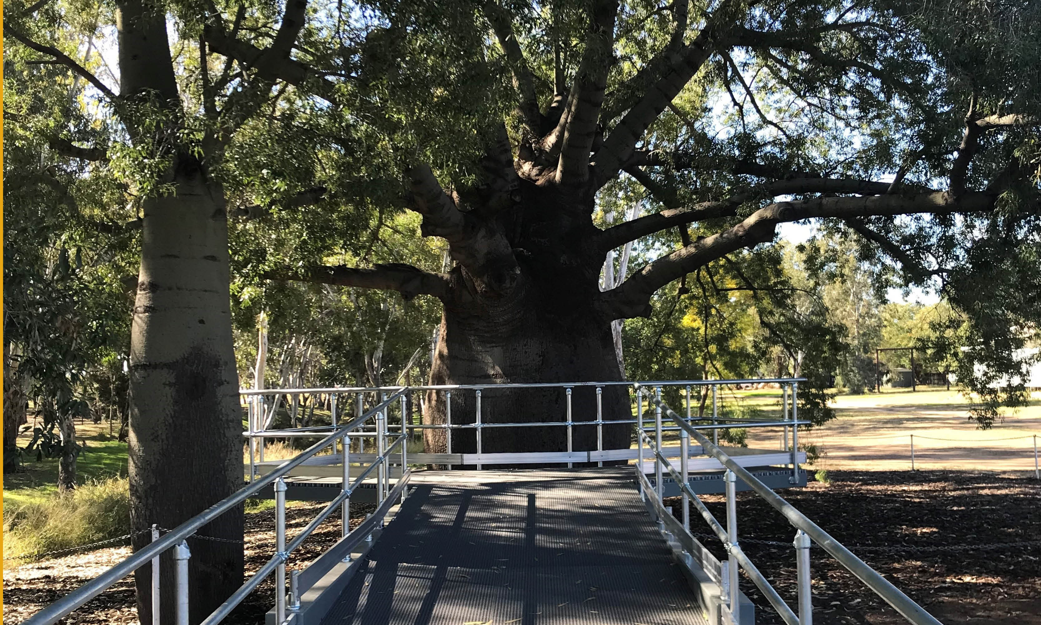 Viewing platform for bottle tree