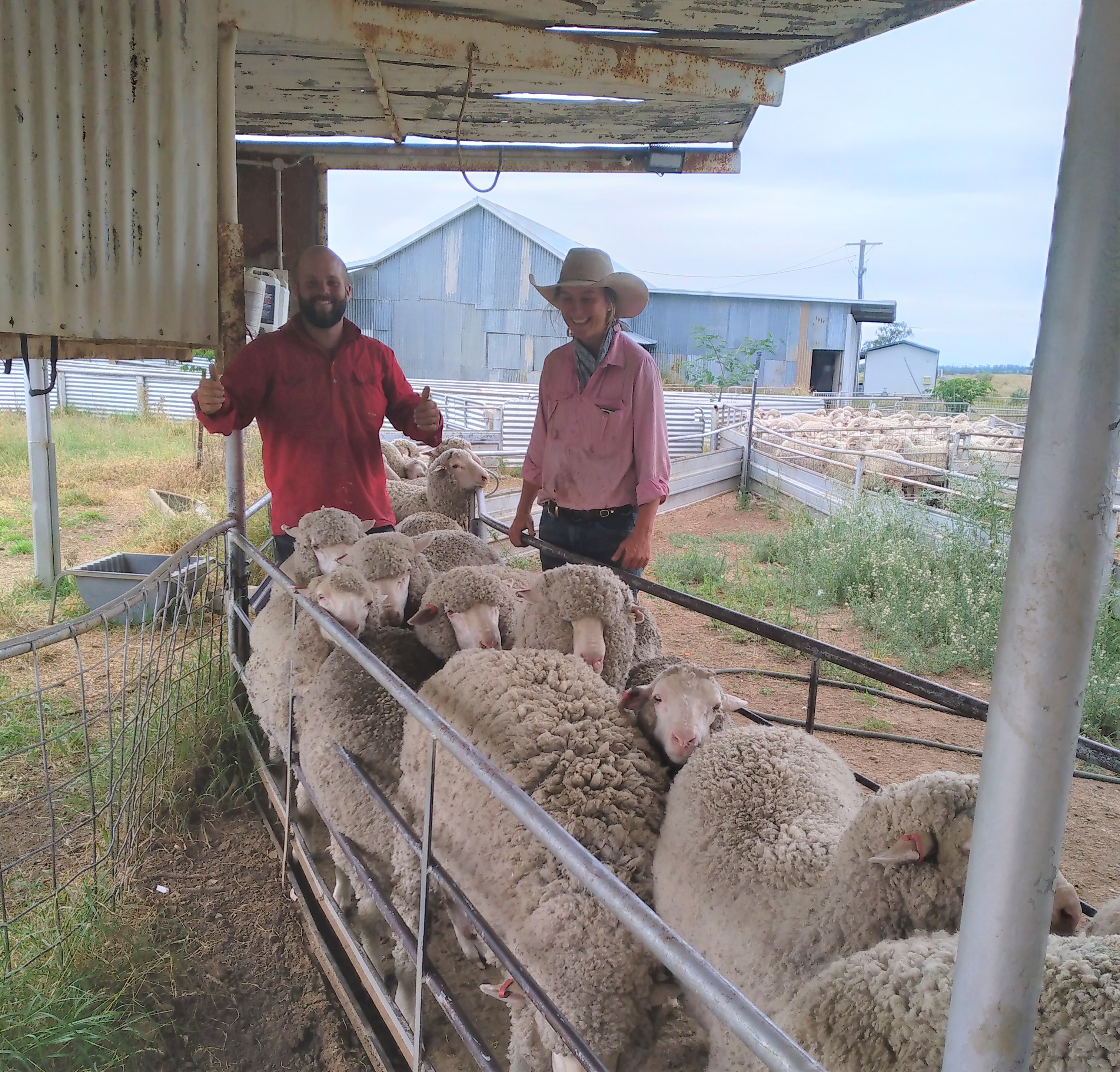 Basalt Creek Cluster Delivers on Queensland Feral Pest Initiative Round 3